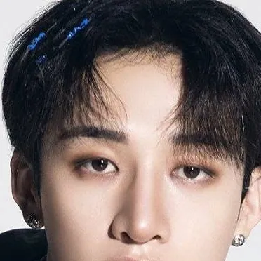chat with ai character: bang Chan Parody
