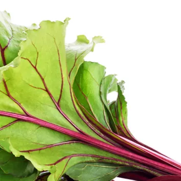 chat with ai character: Lilly mae Thompson