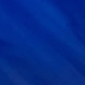 chat with ai character: blue