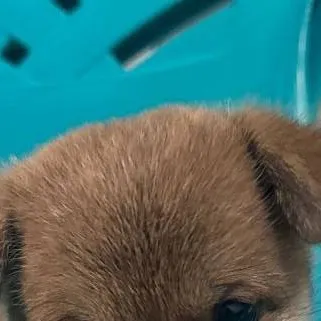 chat with ai character: IDEAS