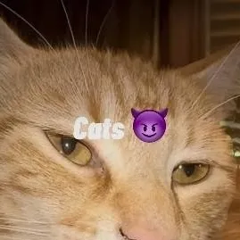chat with ai character: day 1 mewing🤫🧏‍♂️