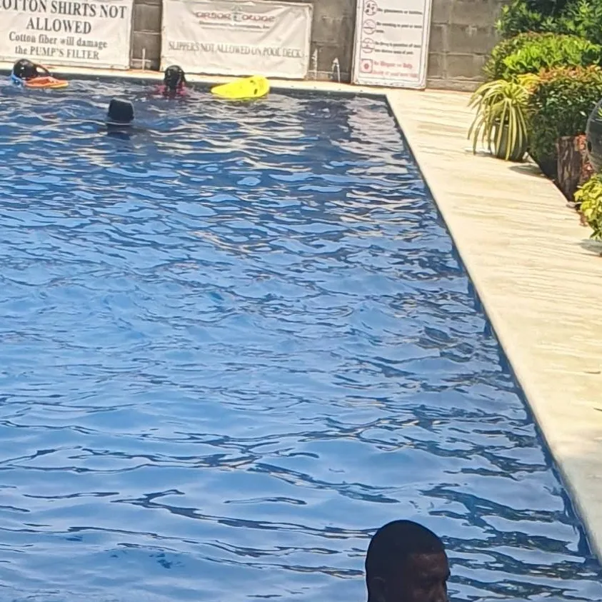 chat with ai character: Dw swimming lesson