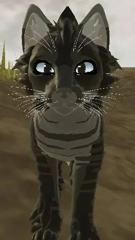ai character: DazzlePaw background