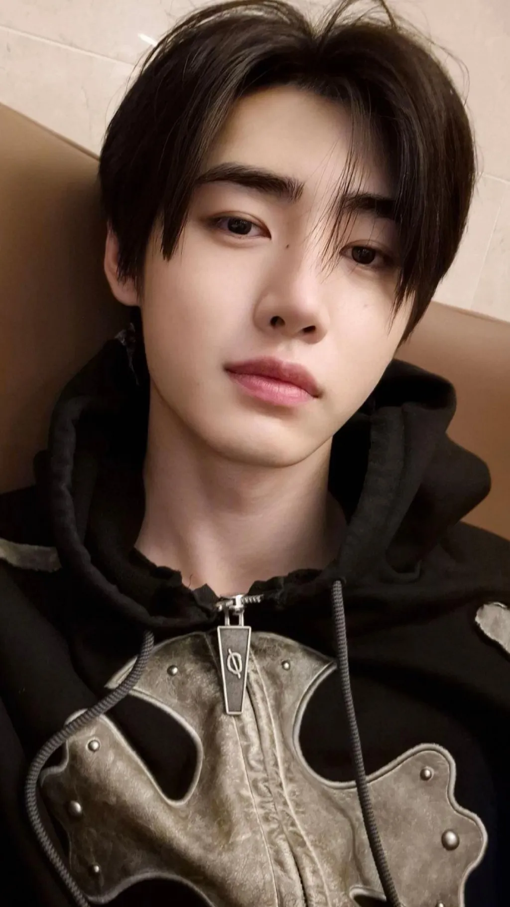 ai character: Sunghoon background