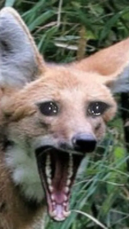 ai character: TBP 2 background