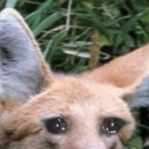 chat with ai character: TBP 2