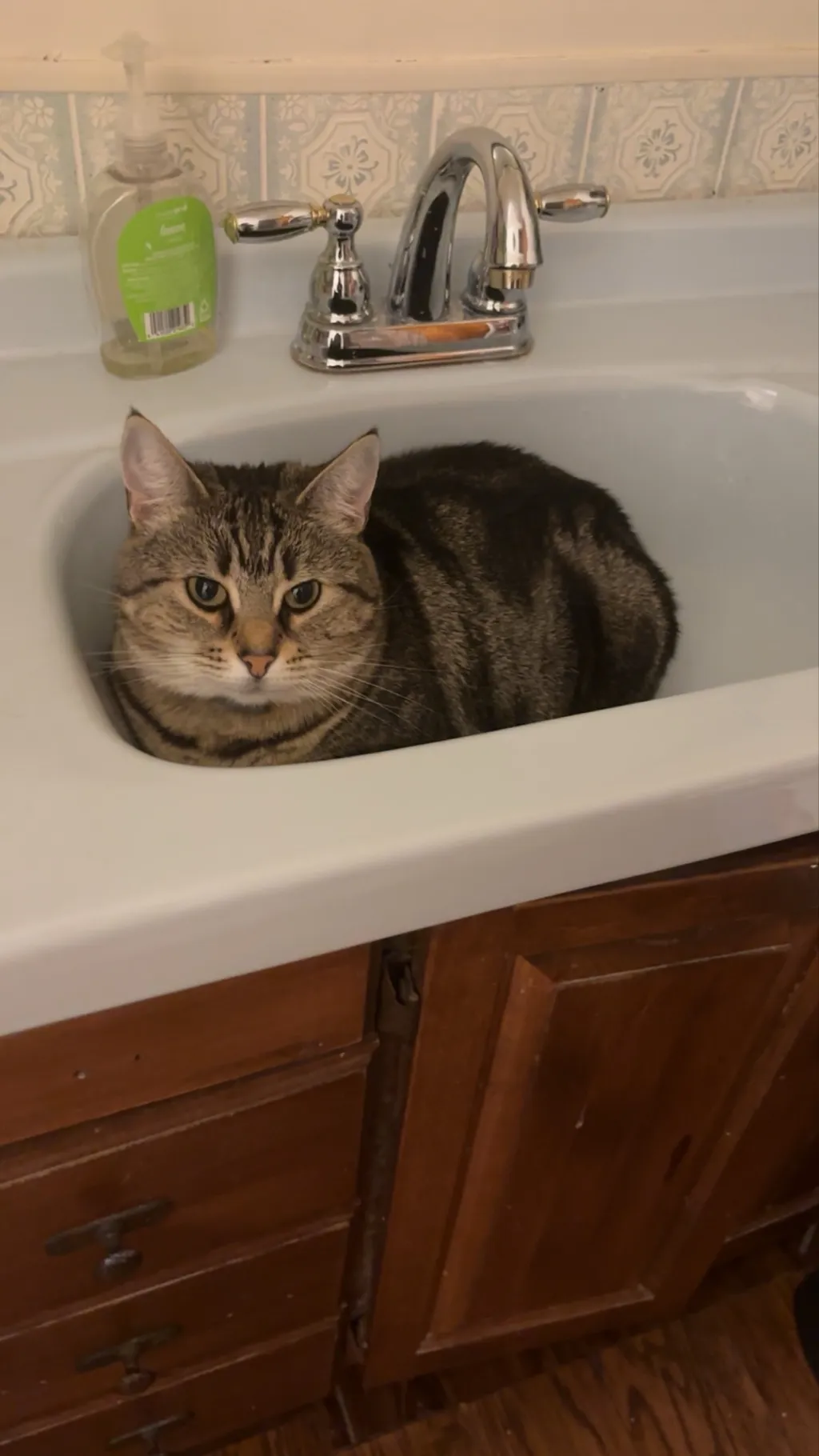 ai character: TBP KITCHEN background