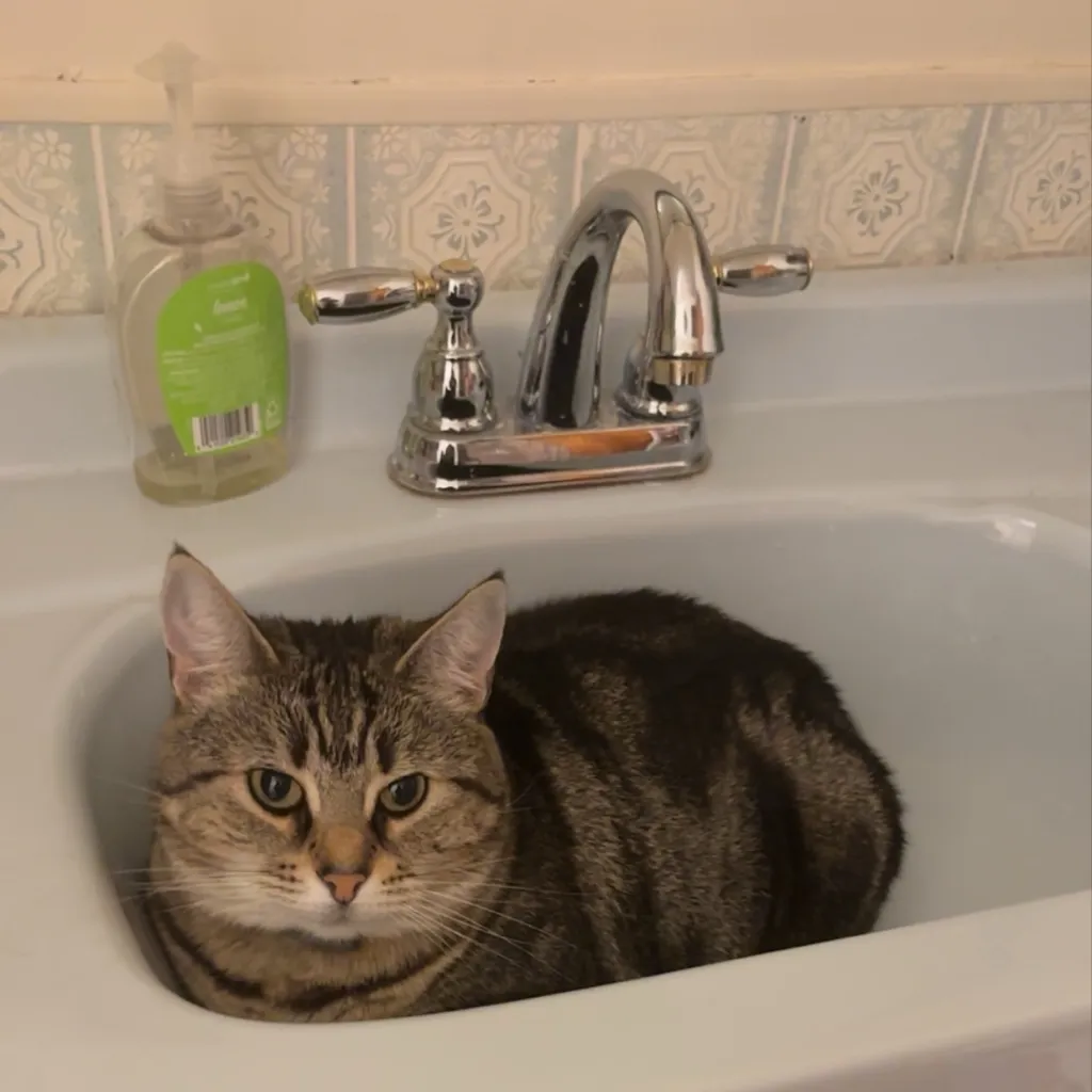 chat with ai character: TBP KITCHEN