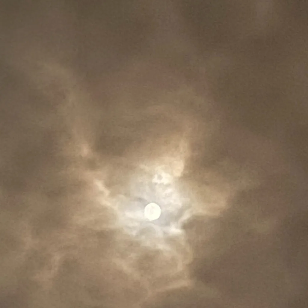 chat with ai character: TBP 