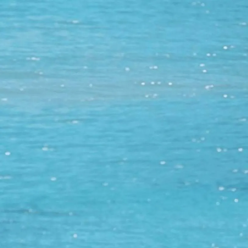 chat with ai character: spy family 