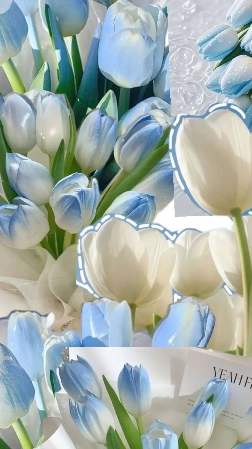 ai character: KATSEYE  background