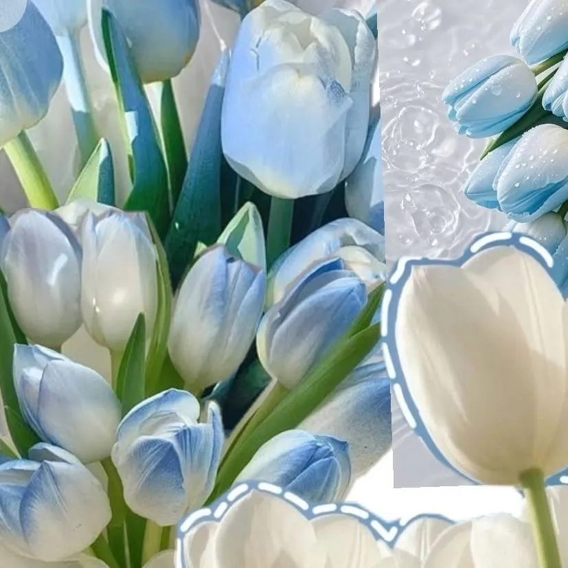 chat with ai character: KATSEYE 