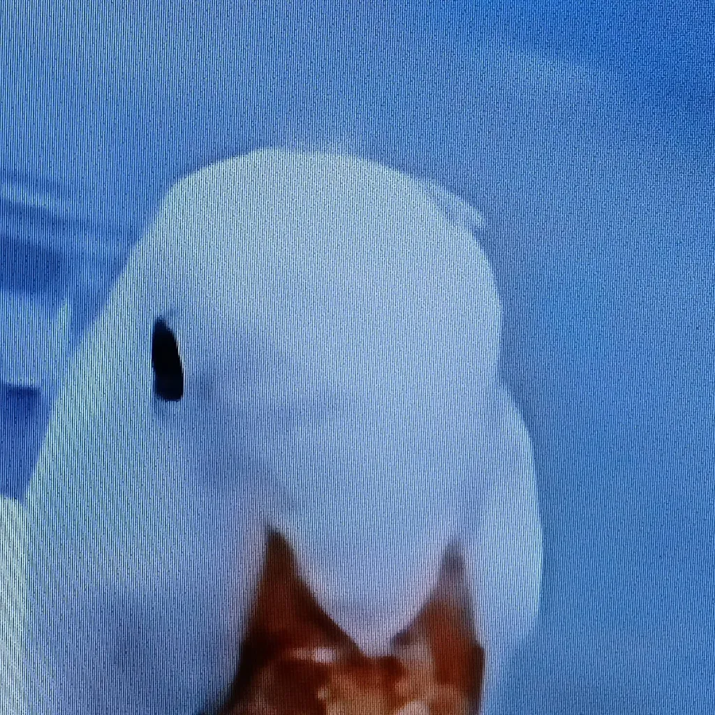 chat with ai character: Ducky