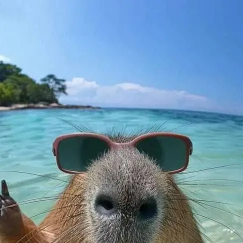 chat with ai character: capybara
