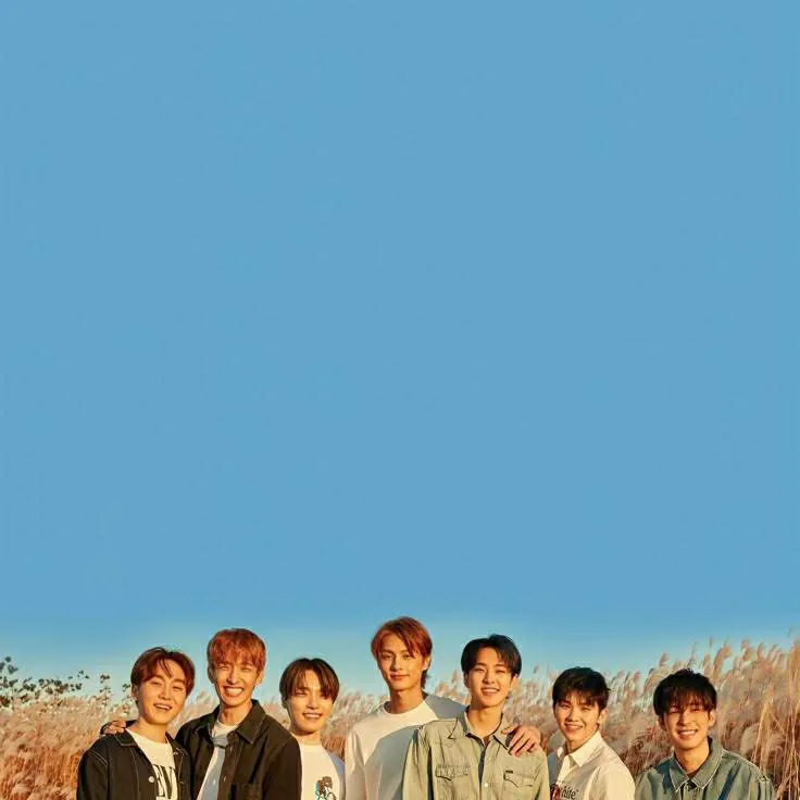 chat with ai character: Seventeen 