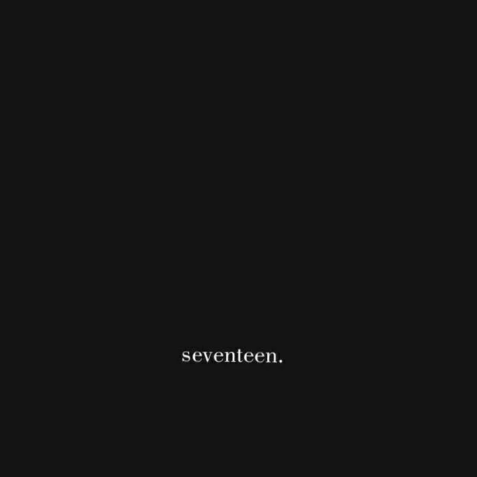chat with ai character: Seventeen VI