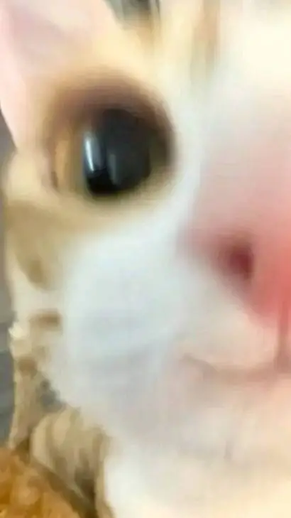 ai character: Han seo-jun  background