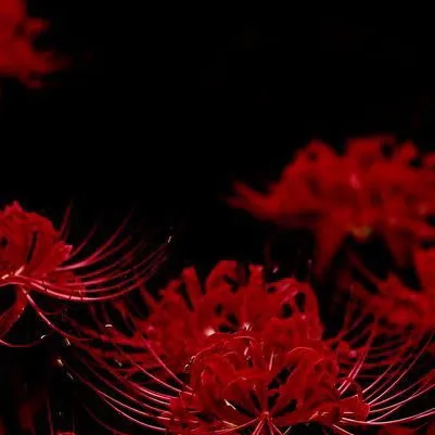 chat with ai character: Hashira