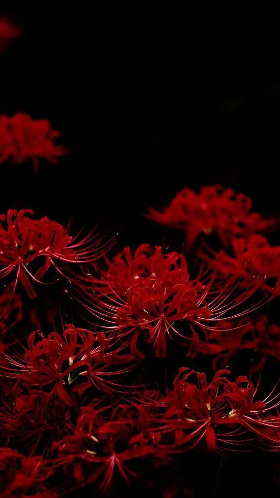 ai character: Hashira background