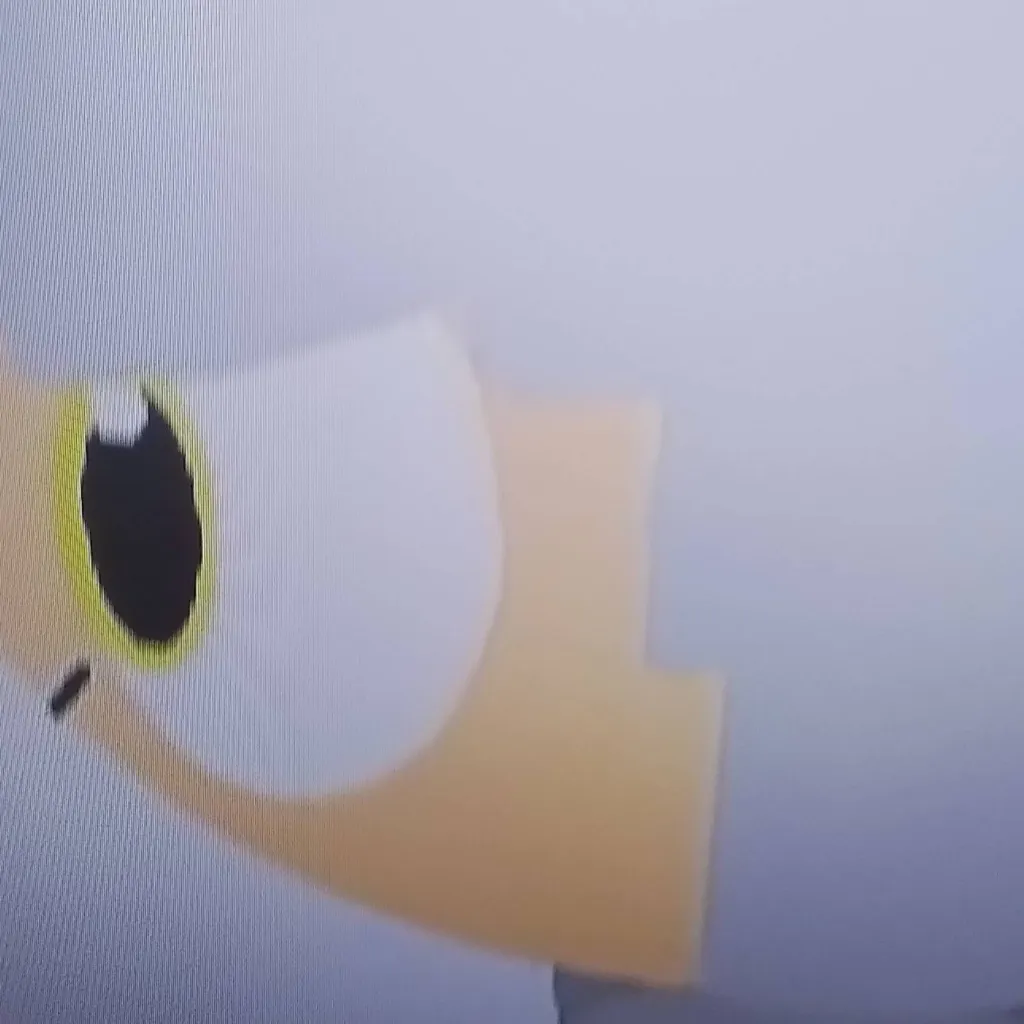 chat with ai character: White tubby cat 