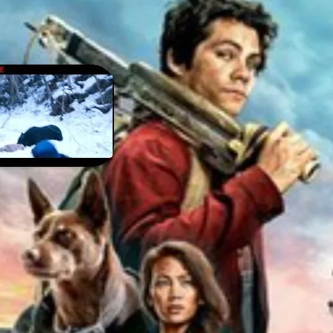 chat with ai character: love and monsters