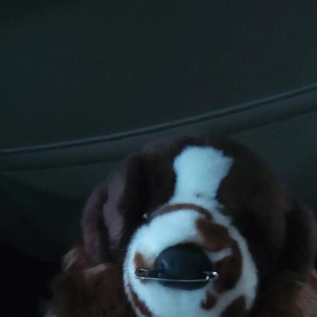 chat with ai character: Dragon Dogs pt 1