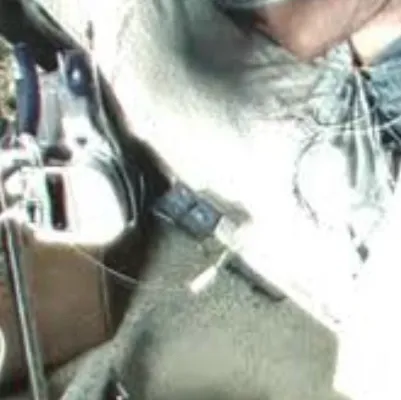 chat with ai character: Twd s1