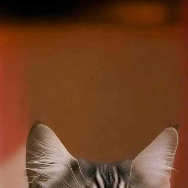 chat with ai character: 𝐿𝐼𝐿𝐴