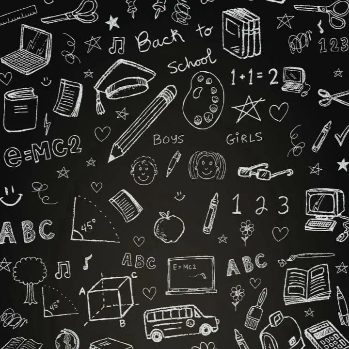 chat with ai character: Embodi x School