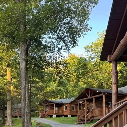 chat with ai character: Summer camp