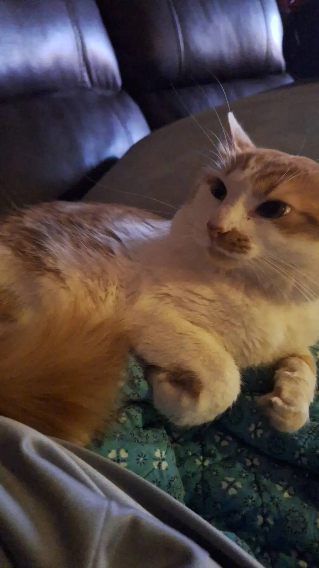 ai character: you're own story background