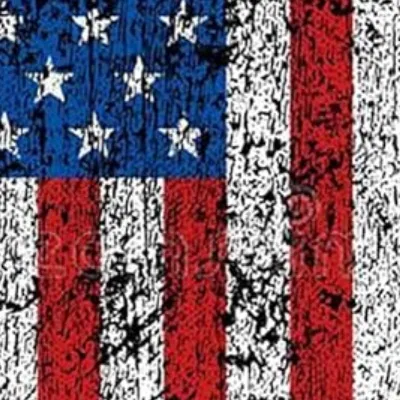 chat with ai character: AMERICA 🦅🦅🦅