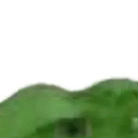 chat with ai character: BigBack support