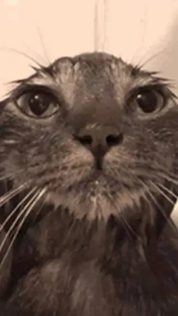 ai character: uhh background