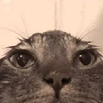 chat with ai character: uhh