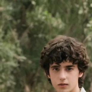 chat with ai character: wallows ff