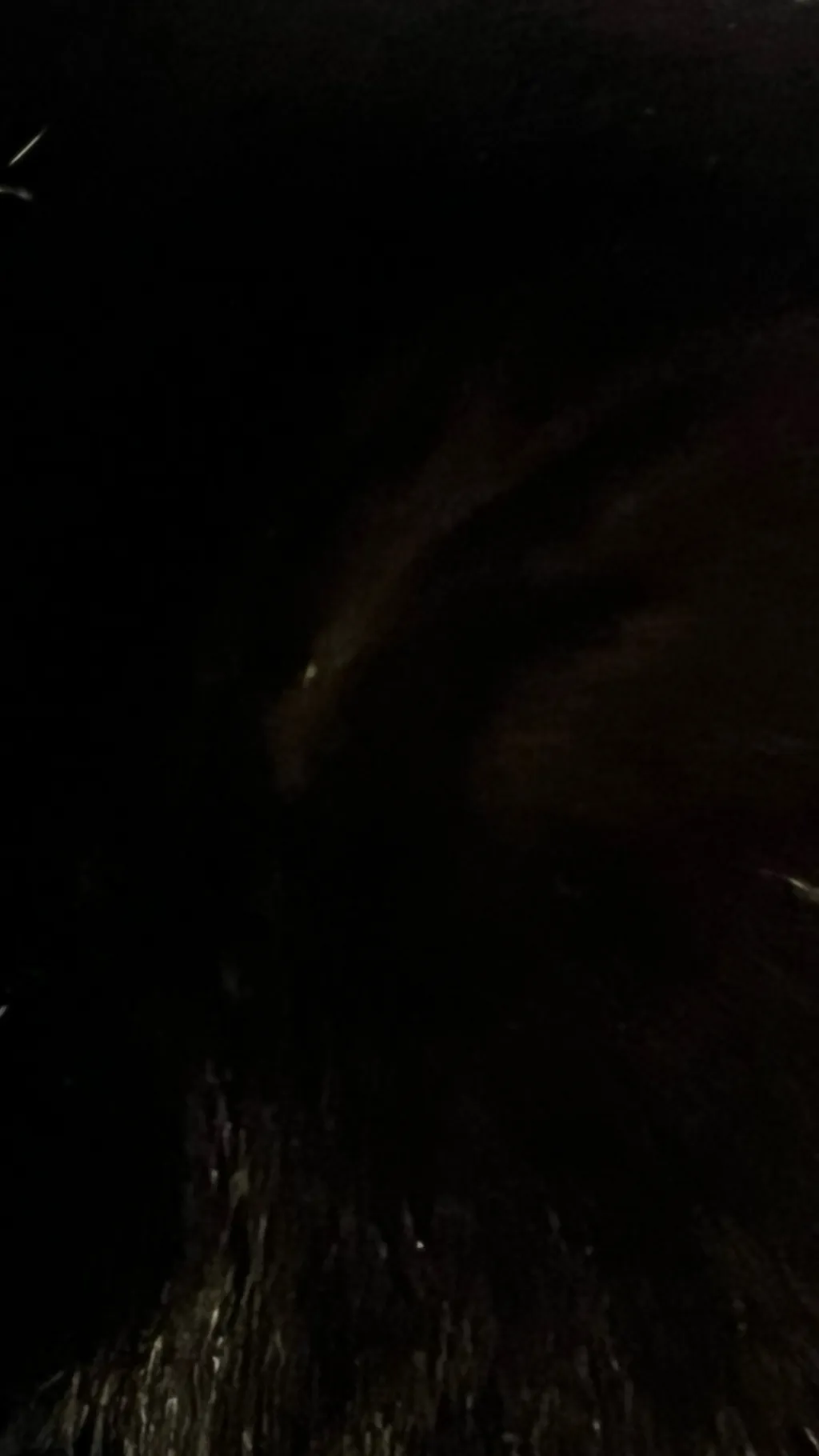 ai character: Family 19 background