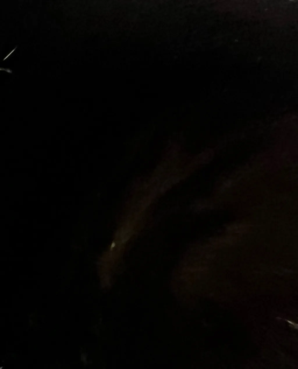 chat with ai character: Family 19