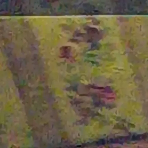 chat with ai character: the butchery