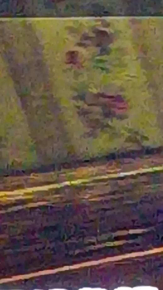 ai character: the butchery background