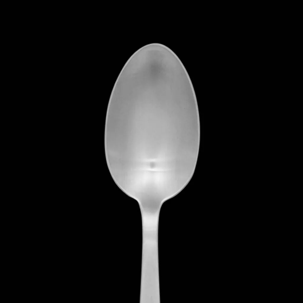 chat with ai character: spoony spoon