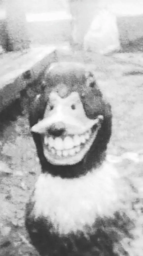 ai character: RDR2 Sadie Adler  background