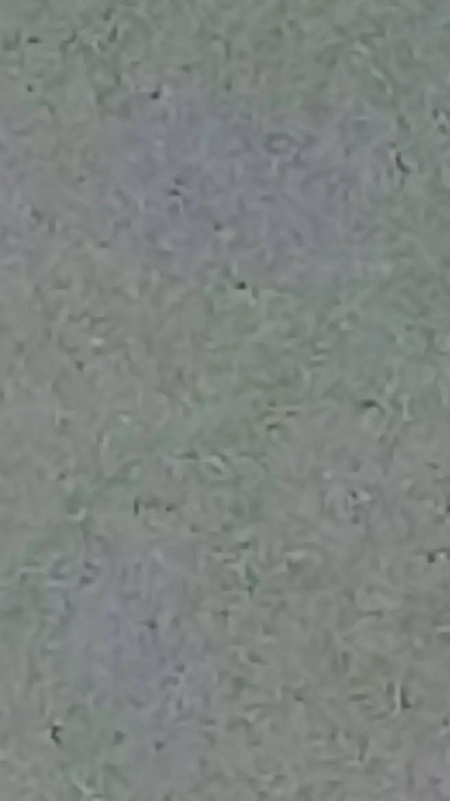 ai character: ¿dw fpe x jjk? background