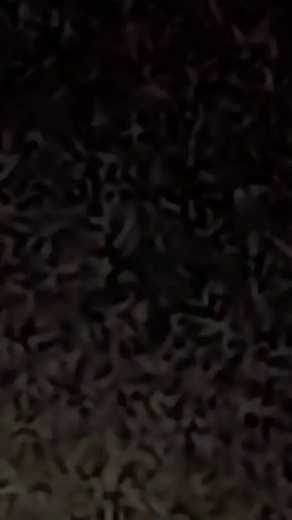 ai character: dw creep background