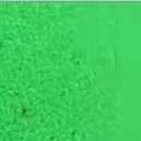 chat with ai character: dw;)