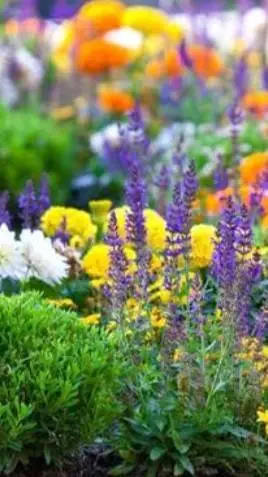 ai character: Dw Pick me background