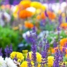 chat with ai character: Dw Pick me