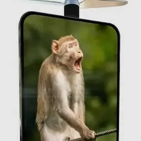 chat with ai character: Samsung monkey