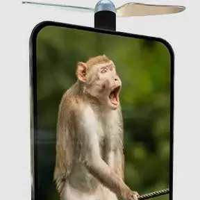 chat with ai character: monkey samsung