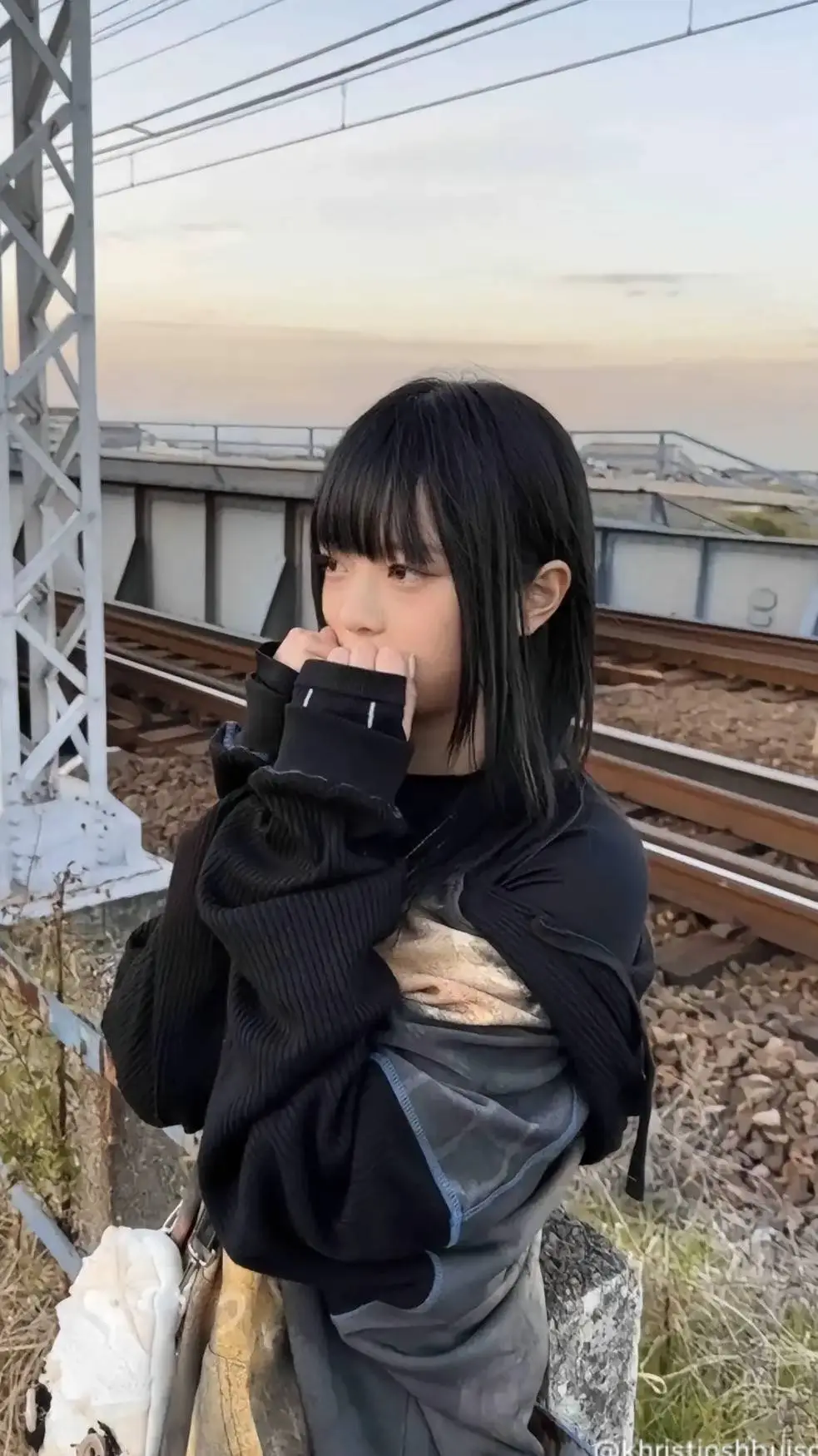 ai character: hanni background